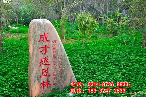 石家莊冀聯醫學院學費多少？